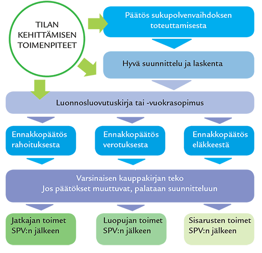 7 2 SUUNNITTELU Sukupolvenvaihdoksen suunnittelu kannattaa aloittaa hyvissä ajoin, jolloin tilan tuleva kehitys ja investoinnit voidaan ottaa ajoissa huomioon.