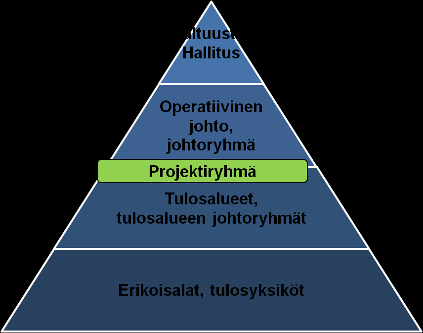 valmistelu: kehittämispäällikkö Ohjelman sisältö: projektityöryhmä