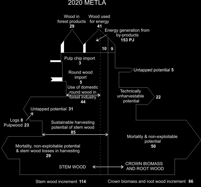 Metsäbiomassan virrat - toteuma 2007 ja vuoden 2020