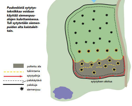 54 tärkeää, ettei tuuli ole voimakas, korkeintaan 1-2 m/s. (Lemberg & Puttonen 2002, 72-73.) KUVA 23. Puukeskeinen sytytystekniikka (Rissanen ym. 2002) 5.