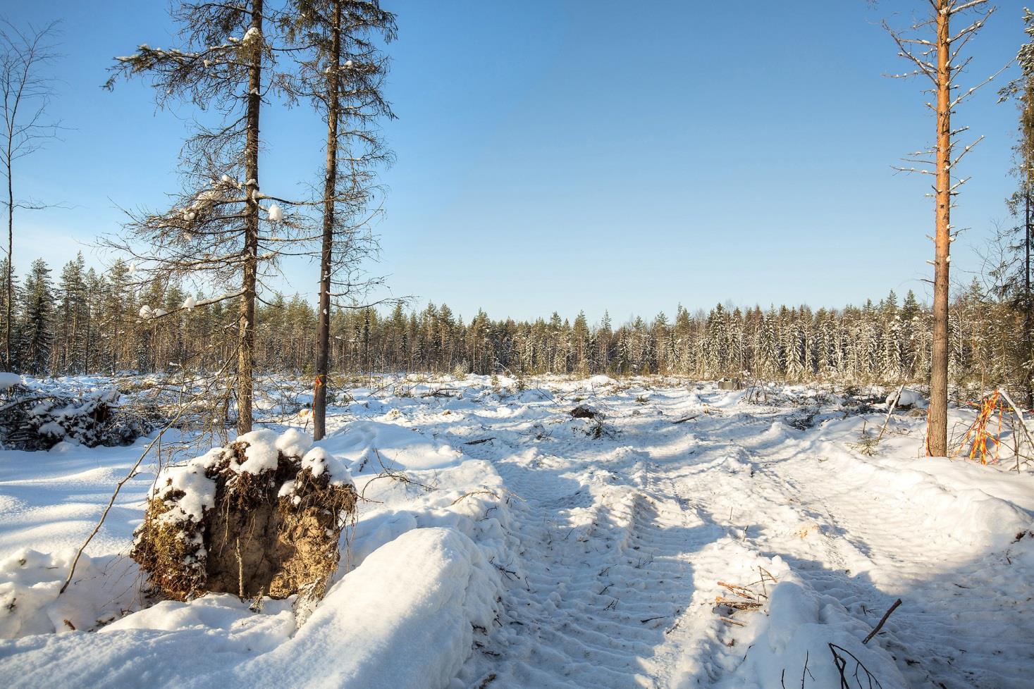 Hiukkavaaran monitoimitalon hankinta- ja