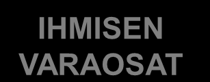Klusterin toiminnan painopisteet 2011-2013 IHMISEN PERIMÄ IHMISEN MITTAAMINEN IHMISEN HOITO IHMISEN VARAOSAT Pk-seutu & Kuopio Oulu & Turku Kuopio & Turku Tampere Rahoituksen ja