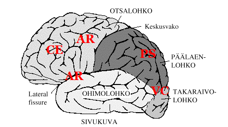 11 TYÖMUISTI ON eri