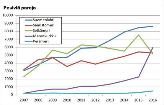 Vuonna 2005 Saaristomerellä pesi arviolta noin 1 000 paria.