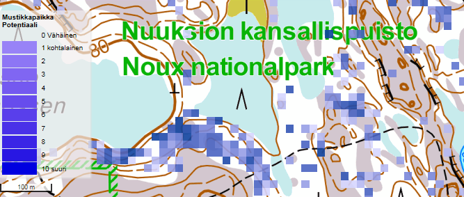 Luonnontuotteita kuvaavat mallit marjasadot Potentiaaliset