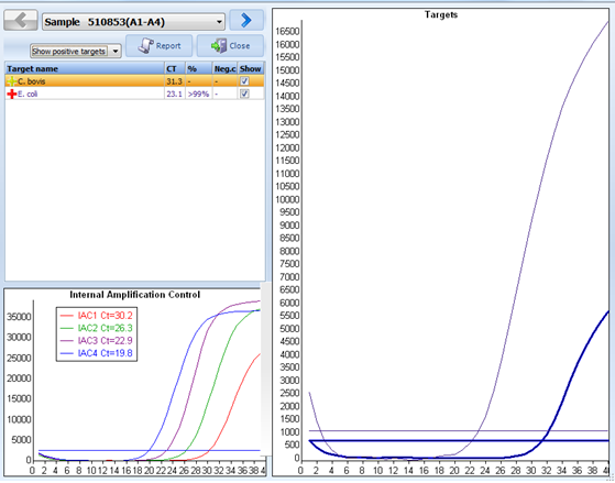 Kuva 2. Kuvan vasemmassa yläreunassa näkyy tuloksena E.coli +++ ja C.bovis +. E.coli -bakteeria on ollut näytteessä enemmän (>99 %), joten se monistuu (oikealla) aiemmin ja saa pienemmän Ctarvon.