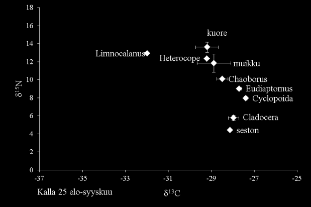 Kuva 4. Eri näytteenottopaikkojen seston-, eläinplankton- ja kalanäytteet δ 13 C δ 15 N-pistekaaviossa eroteltuina toukokuun ja elo syyskuun näytteiksi.