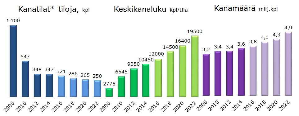 Kanatilojen määrä vähenee ja keskikanaluku kasvaa Joka viides kanatila aikoo lopettaa tuotantonsa seuraavan kuuden vuoden aikana.