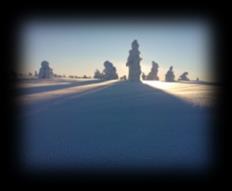 Kairankutsun upeat luontoretket Kairankutsu s Great Nature Tours Koe kanssamme
