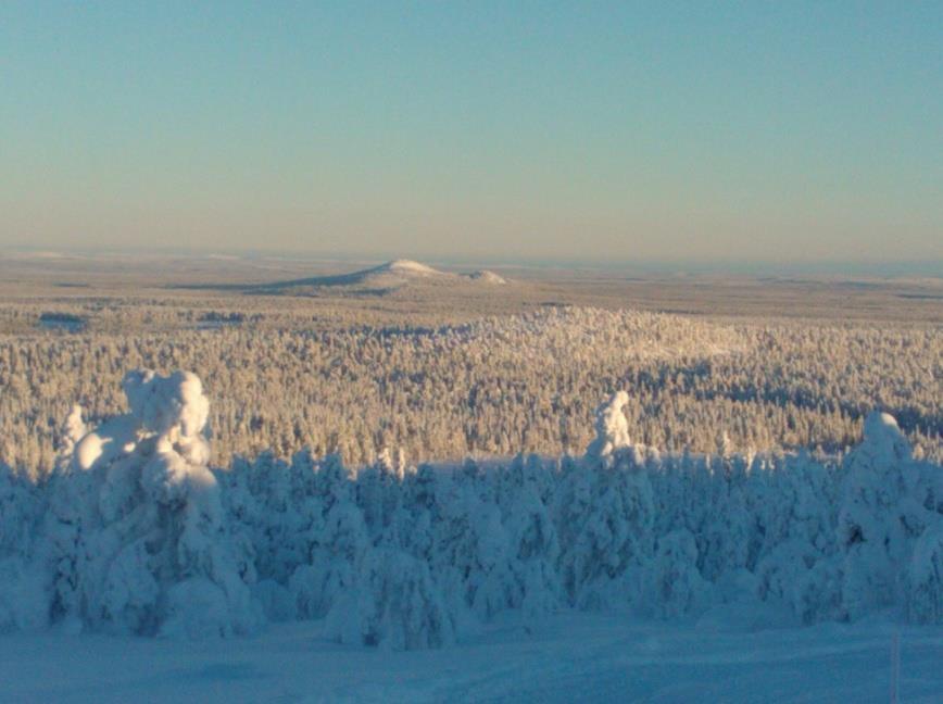 Lumikenkäretki Pyhä-Luosto kansallispuistoon Kansallipuiston lumiset ja hiljaiset metsät tuntureineen kutsuvat sinua rentoutumaan suurenmoisten luontoelämysten kera.