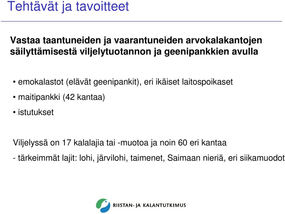 eri ikäiset laitospoikaset maitipankki (42 kantaa) istutukset Viljelyssä on 17 kalalajia tai