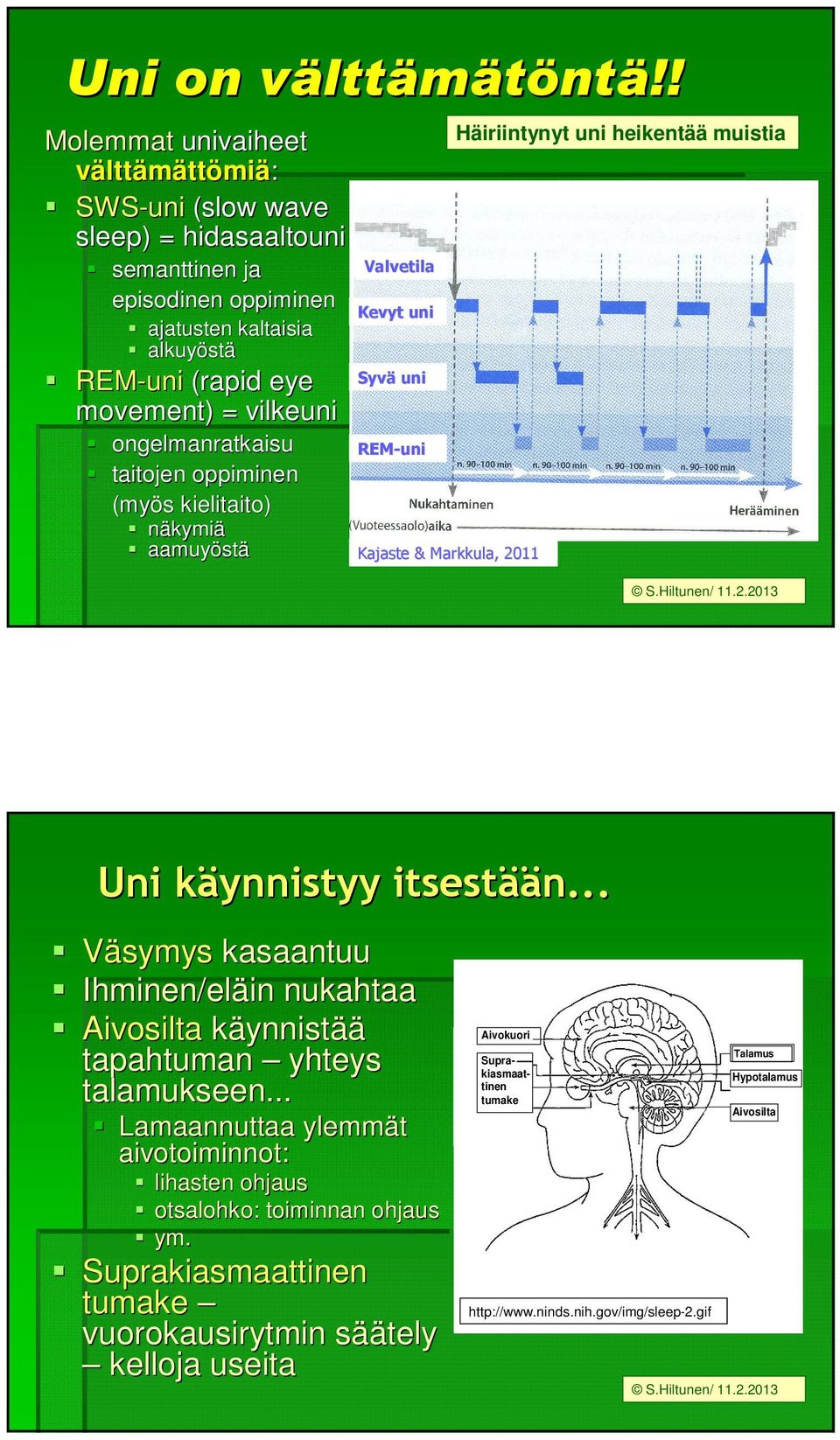 ongelmanratkaisu taitojen oppiminen (myös s kielitaito) näkymiä aamuyöst stä Valvetila Kevyt uni Syvä uni REM-uni Kajaste & Markkula, 2011 Häiriintynyt uni heikentää muistia S.Hiltunen/ 11.2.2013 Uni käynnistyy k itsestää ään.