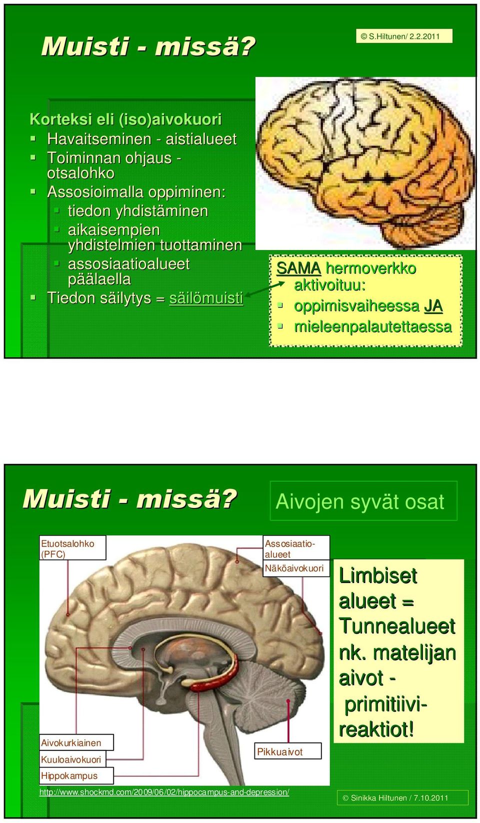 yhdistelmien tuottaminen assosiaatioalueet päälaella Tiedon säilytys s = säilömuisti SAMA hermoverkko aktivoituu: oppimisvaiheessa JA mieleenpalautettaessa