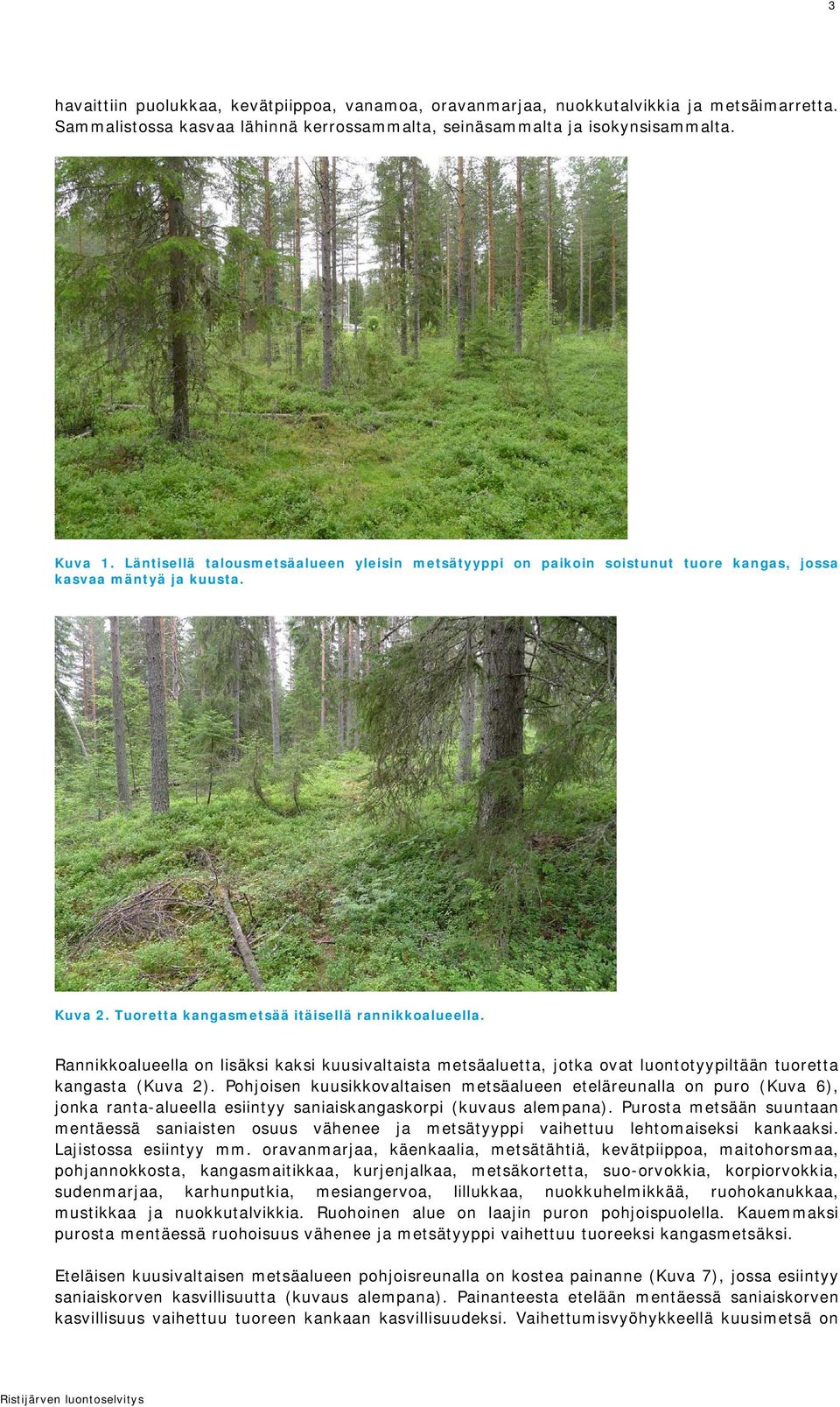 Rannikkoalueella on lisäksi kaksi kuusivaltaista metsäaluetta, jotka ovat luontotyypiltään tuoretta kangasta (Kuva 2).