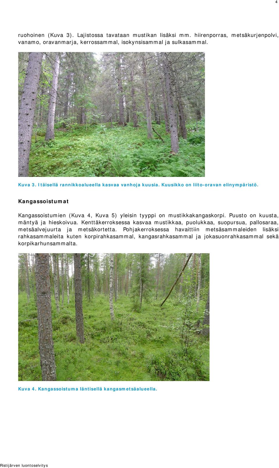 Kangassoistumat Kangassoistumien (Kuva 4, Kuva 5) yleisin tyyppi on mustikkakangaskorpi. Puusto on kuusta, mäntyä ja hieskoivua.