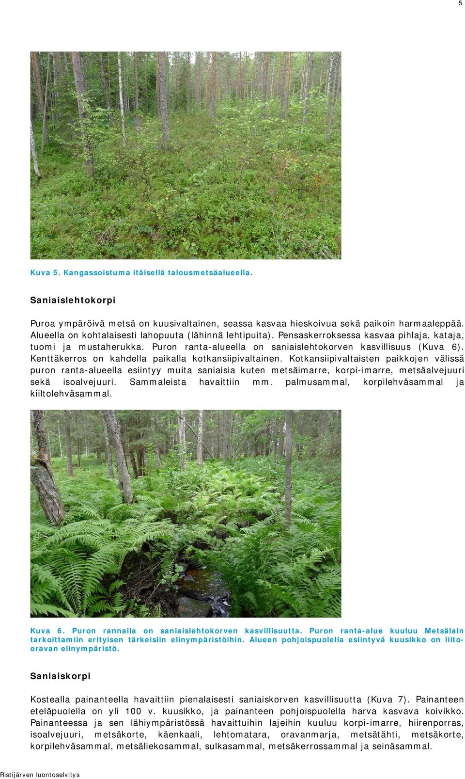 Kenttäkerros on kahdella paikalla kotkansiipivaltainen.