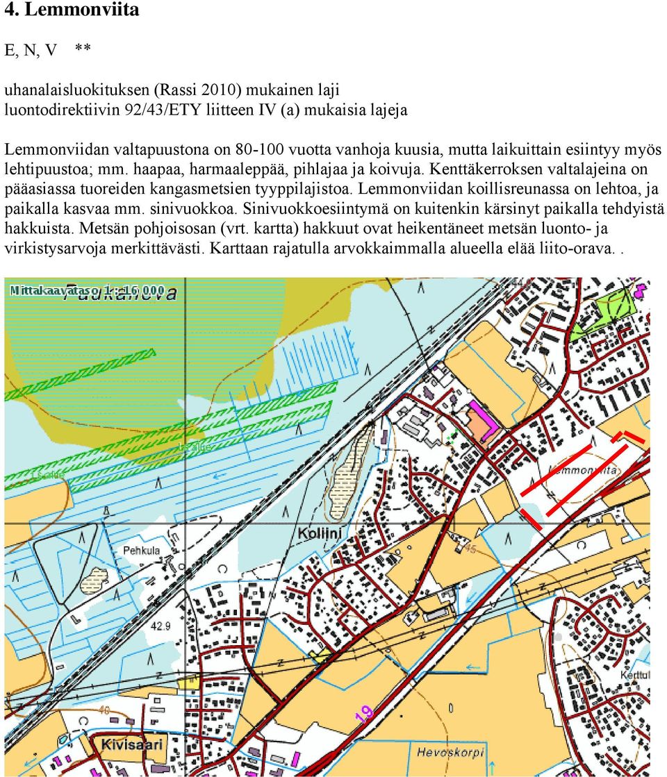 Kenttäkerroksen valtalajeina on pääasiassa tuoreiden kangasmetsien tyyppilajistoa. Lemmonviidan koillisreunassa on lehtoa, ja paikalla kasvaa mm. sinivuokkoa.