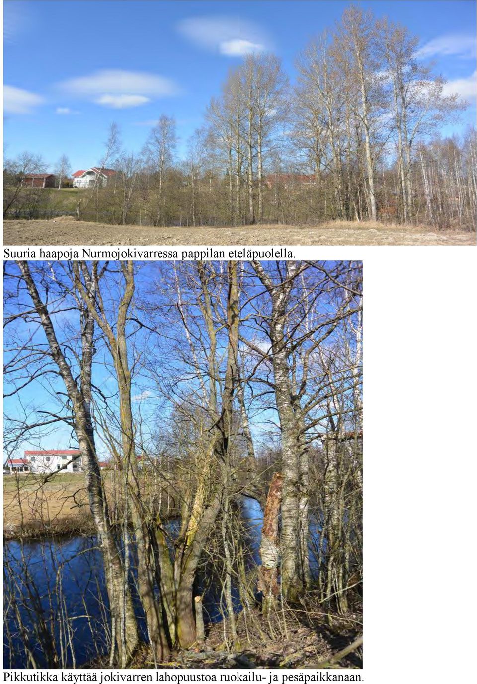 eteläpuolella.