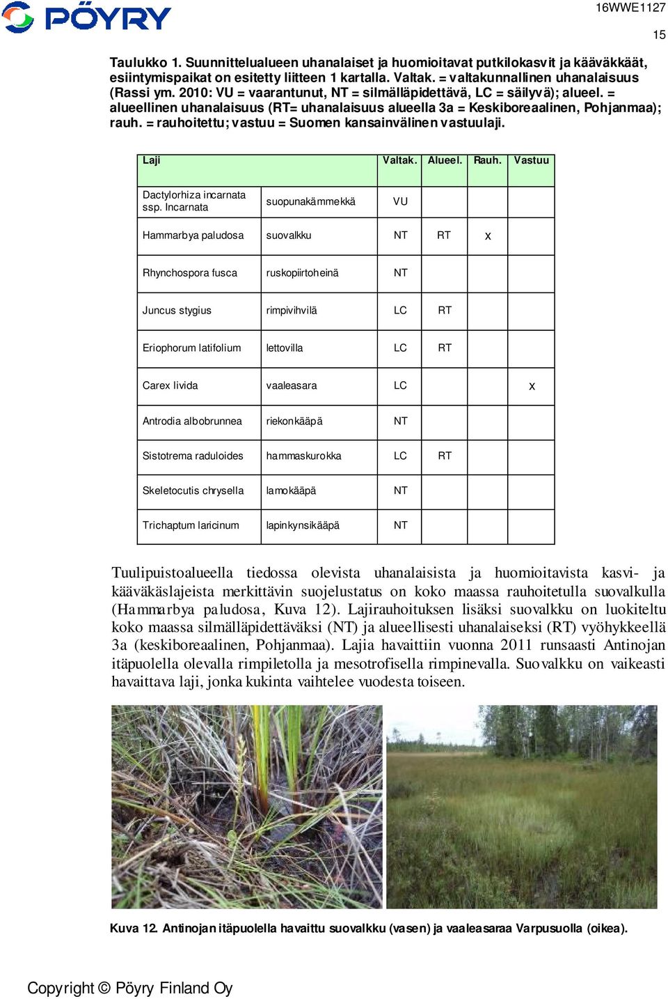 = rauhoitettu; vastuu = Suomen kansainvälinen vastuulaji. 15 Laji Valtak. Alueel. Rauh. Vastuu Dactylorhiza incarnata ssp.