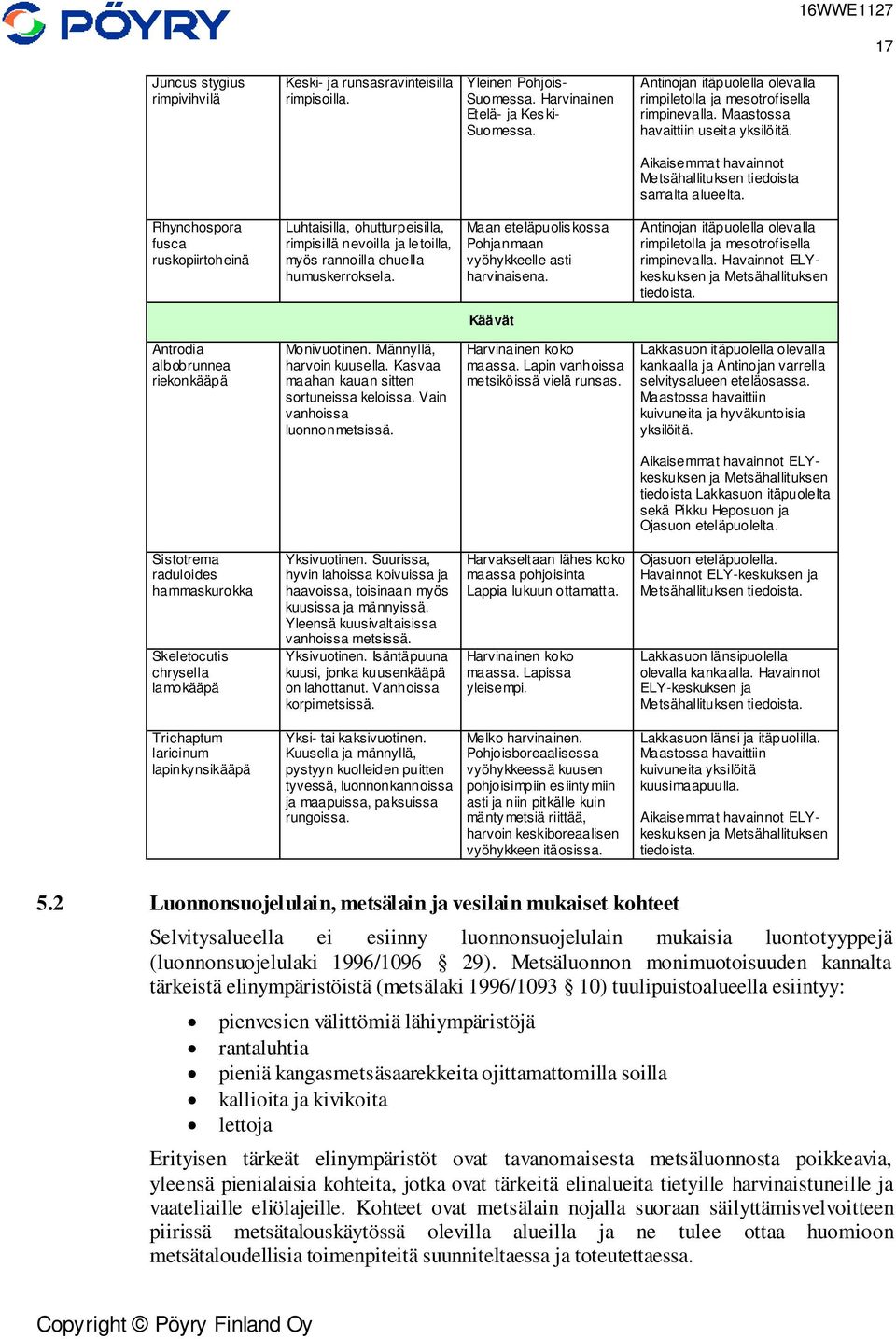 Rhynchospora fusca ruskopiirtoheinä Luhtaisilla, ohutturpeisilla, rimpisillä nevoilla ja letoilla, myös rannoilla ohuella humuskerroksela.