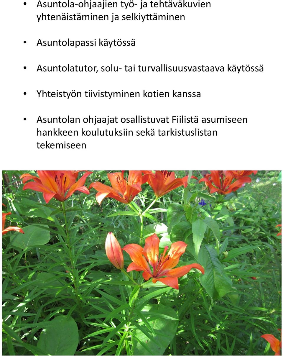 turvallisuusvastaava käytössä Yhteistyön tiivistyminen kotien kanssa