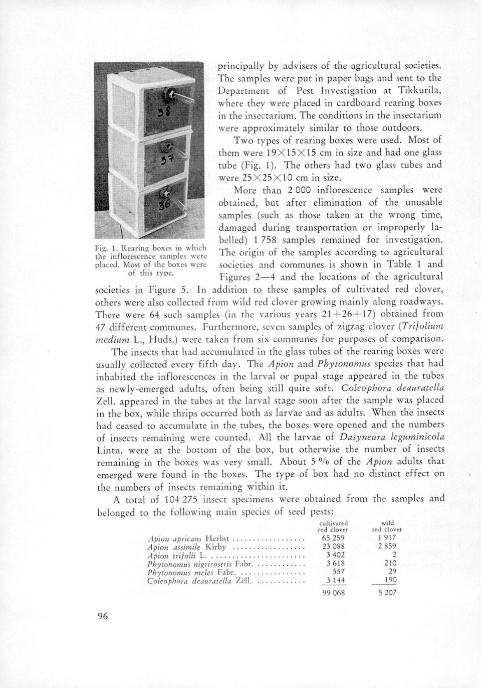 The conditions in the insectarium were approximately similar to those outdoors. Two types of rearing boxes were used. Most of them were 19X15 X15 cm in size and had one glass tube (Fig. 1).