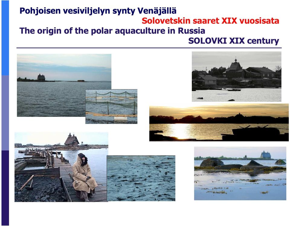 vuosisata The origin of the polar