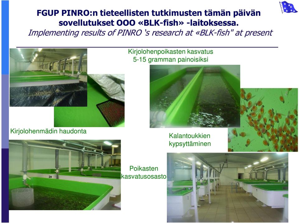 Implementing results of PINRO s research at «BLK-fish" at present
