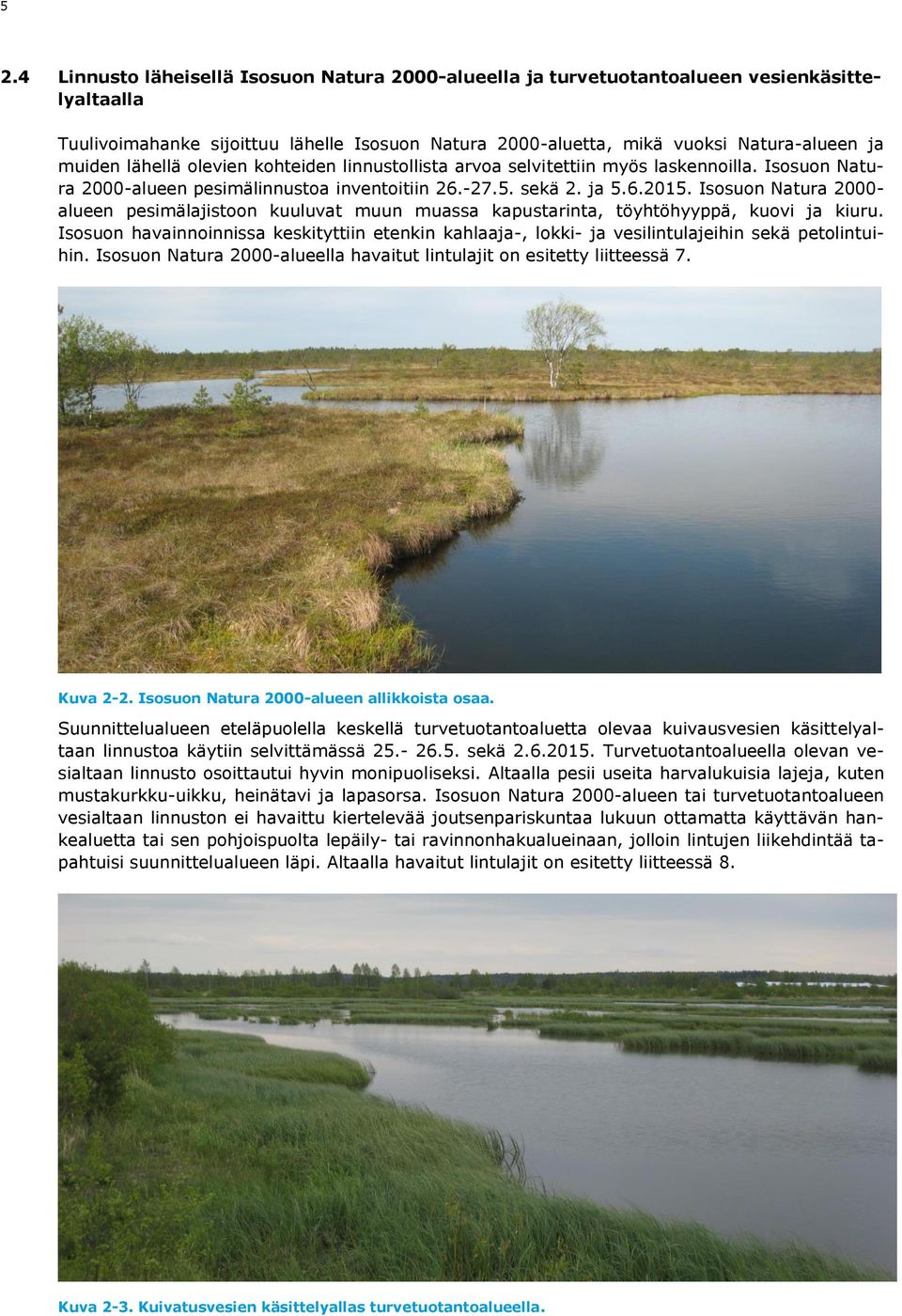 Isosuon Natura 2000- alueen pesimälajistoon kuuluvat muun muassa kapustarinta, töyhtöhyyppä, kuovi ja kiuru.