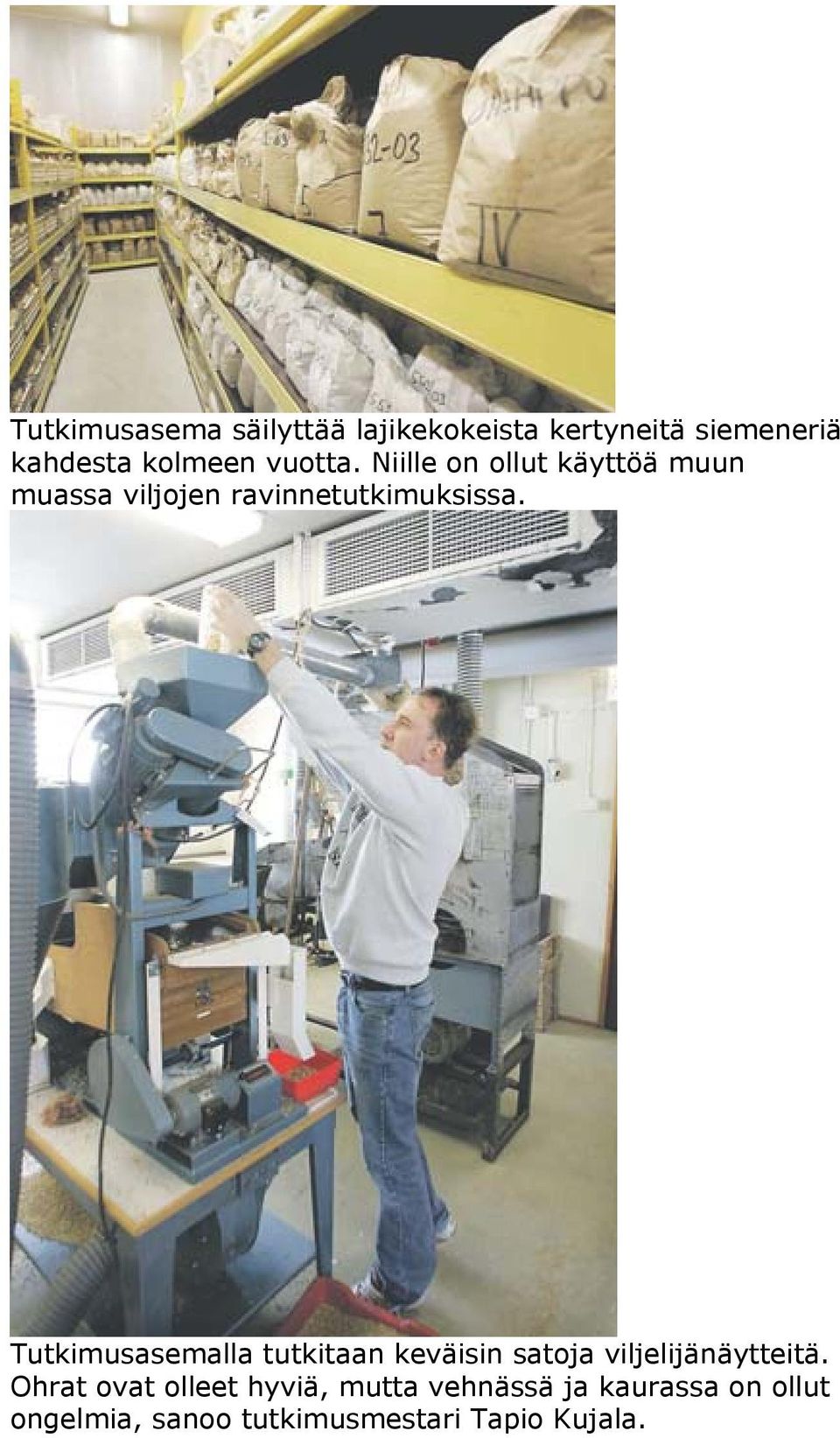 Tutkimusasemalla tutkitaan keväisin satoja viljelijänäytteitä.