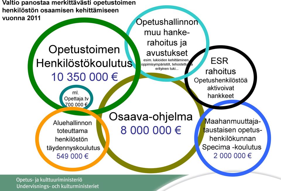 tv 700 000 Aluehallinnon toteuttama henkilöstön täydennyskoulutus 549 000 Opetushallinnon muu hankerahoitus ja avustukset