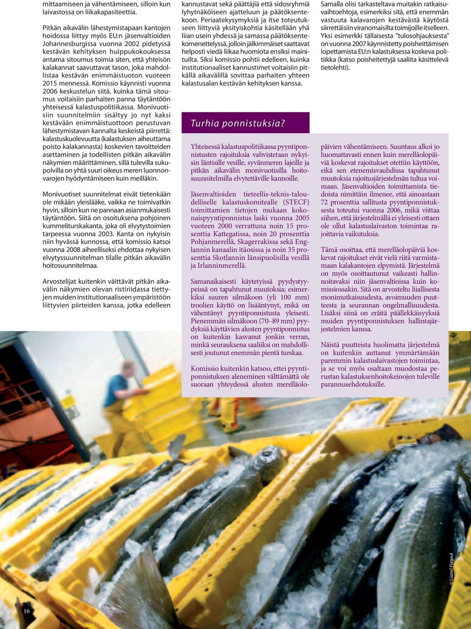 yhteisön kalakannat saavuttavat tason, joka mahdollistaa kestävän enimmäistuoton vuoteen 2015 mennessä.