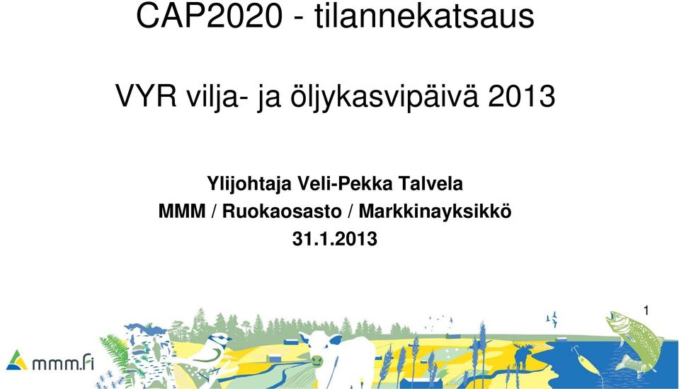 Ylijohtaja Veli-Pekka Talvela MMM