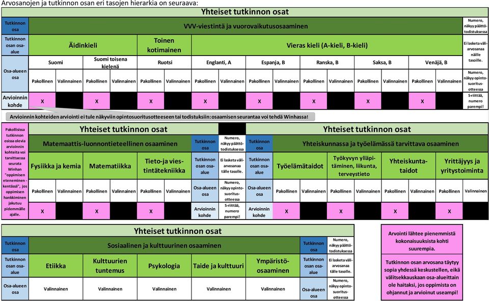 Pakollinen Valinnainen X X X X X X X X Arvioinnin kohteiden arviointi ei tule näkyviin opintosuoritusotteeseen tai todistuksiin:amisen seurantaa voi tehdä Winhassa!