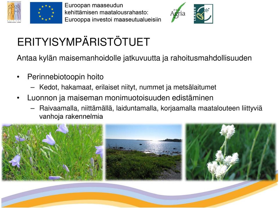niityt, nummet ja metsälaitumet Luonnon ja maiseman monimuotoisuuden