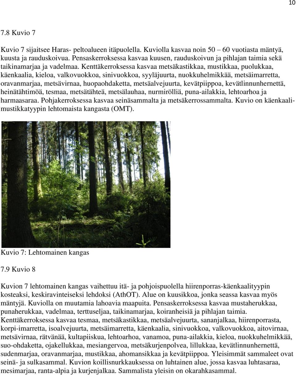 Kenttäkerroksessa kasvaa metsäkastikkaa, mustikkaa, puolukkaa, käenkaalia, kieloa, valkovuokkoa, sinivuokkoa, syyläjuurta, nuokkuhelmikkää, metsäimarretta, oravanmarjaa, metsävirnaa, huopaohdaketta,