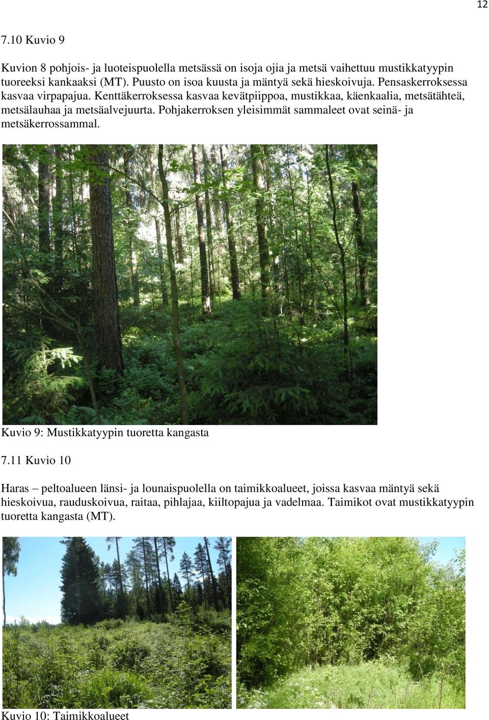 Kenttäkerroksessa kasvaa kevätpiippoa, mustikkaa, käenkaalia, metsätähteä, metsälauhaa ja metsäalvejuurta.
