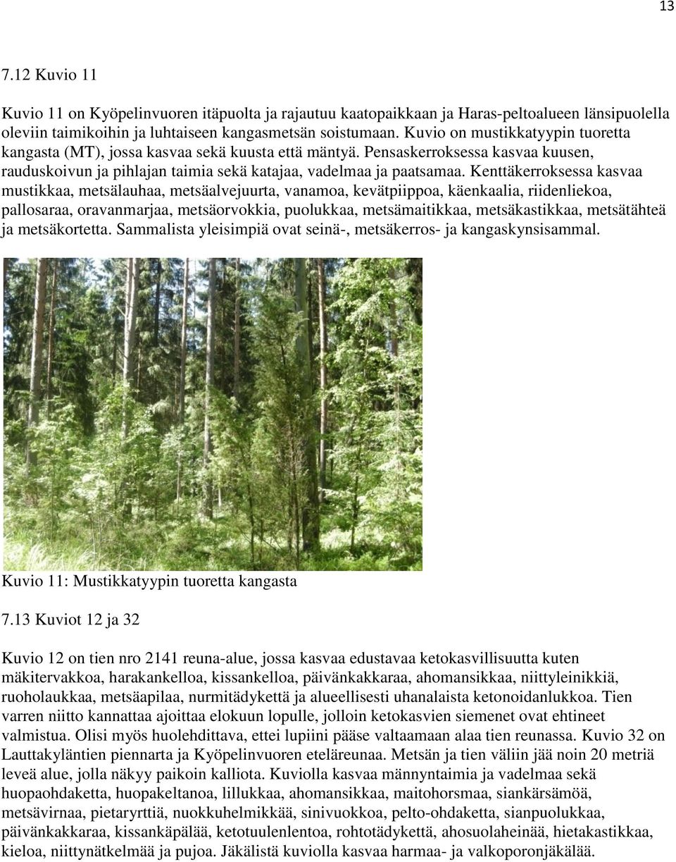 Kenttäkerroksessa kasvaa mustikkaa, metsälauhaa, metsäalvejuurta, vanamoa, kevätpiippoa, käenkaalia, riidenliekoa, pallosaraa, oravanmarjaa, metsäorvokkia, puolukkaa, metsämaitikkaa, metsäkastikkaa,