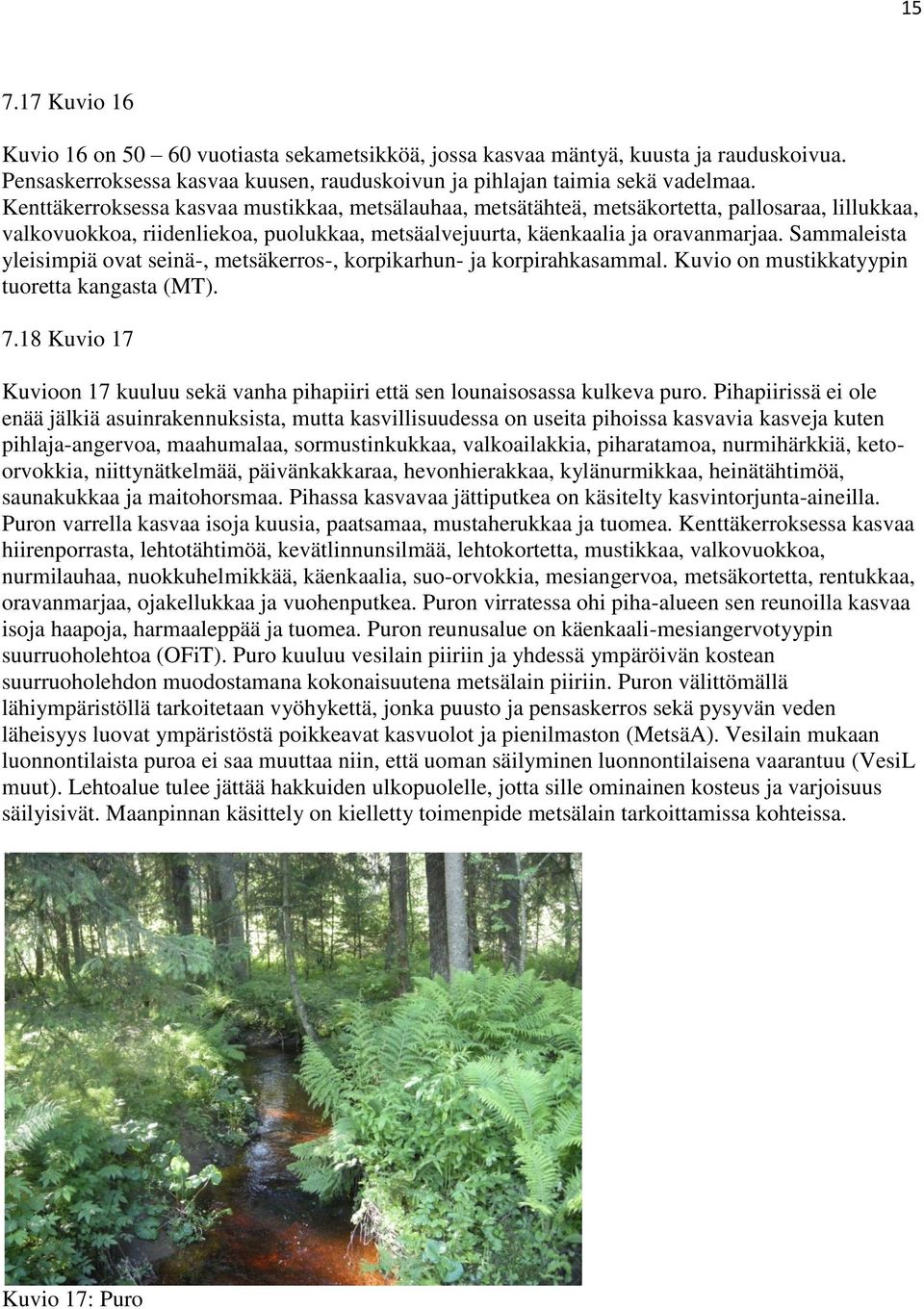 Sammaleista yleisimpiä ovat seinä-, metsäkerros-, korpikarhun- ja korpirahkasammal. Kuvio on mustikkatyypin tuoretta kangasta (MT). 7.