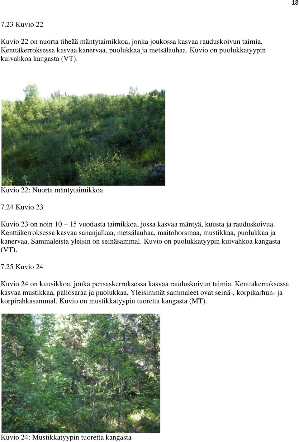 Kenttäkerroksessa kasvaa sananjalkaa, metsälauhaa, maitohorsmaa, mustikkaa, puolukkaa ja kanervaa. Sammaleista yleisin on seinäsammal. Kuvio on puolukkatyypin kuivahkoa kangasta (VT). 7.
