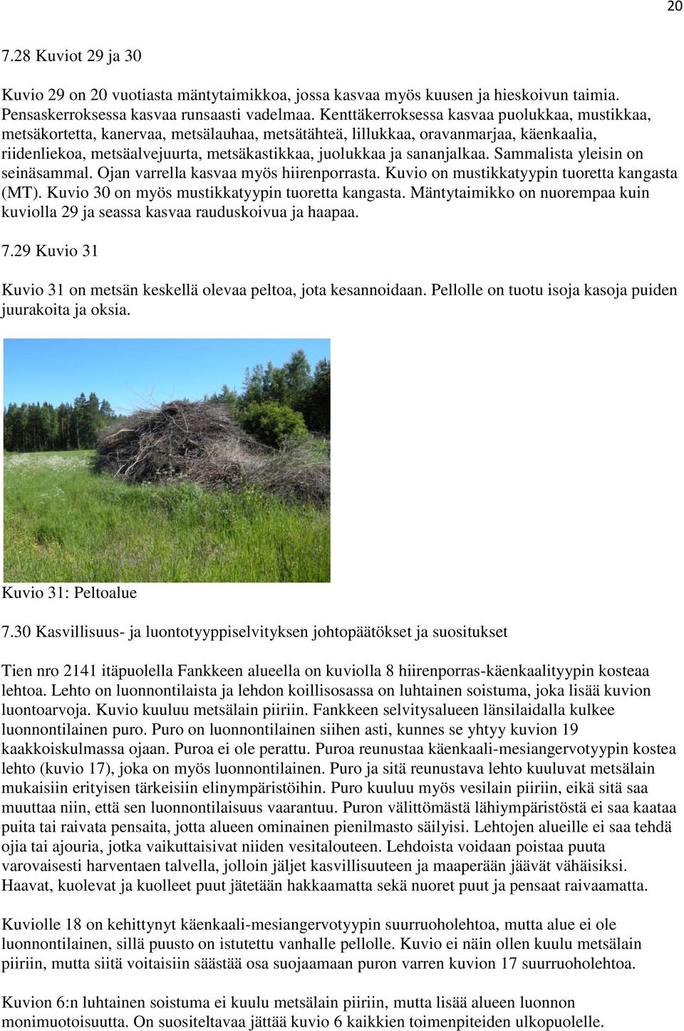 sananjalkaa. Sammalista yleisin on seinäsammal. Ojan varrella kasvaa myös hiirenporrasta. Kuvio on mustikkatyypin tuoretta kangasta (MT). Kuvio 30 on myös mustikkatyypin tuoretta kangasta.