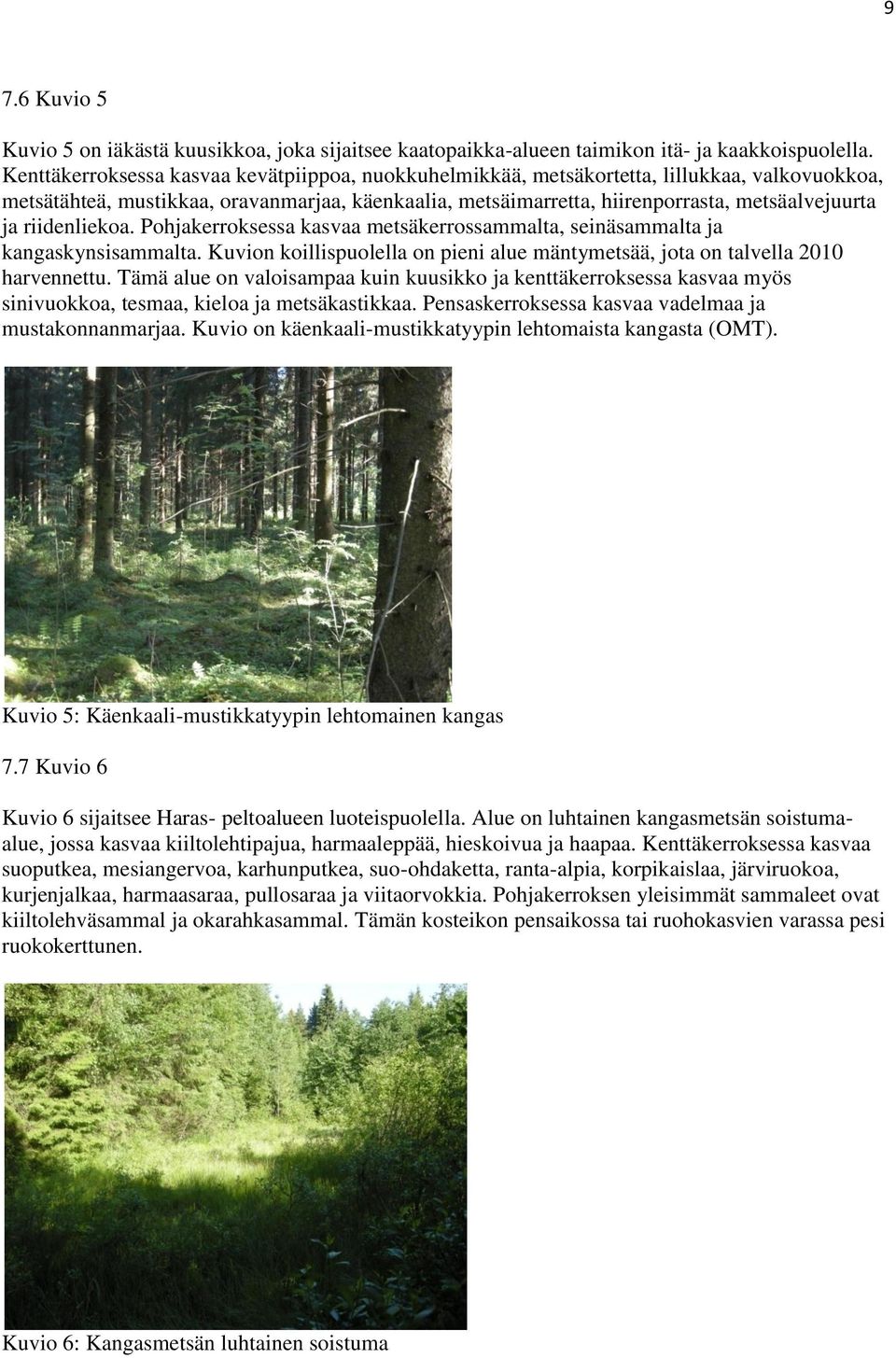 riidenliekoa. Pohjakerroksessa kasvaa metsäkerrossammalta, seinäsammalta ja kangaskynsisammalta. Kuvion koillispuolella on pieni alue mäntymetsää, jota on talvella 2010 harvennettu.