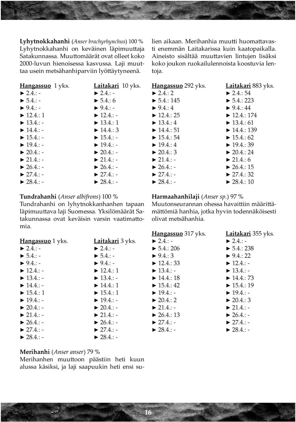 4.: - 20.4.: - 26.4.: - 26.4.: - 27.4.: - 27.4.: - 28.4.: - 28.4.: - Tundrahanhi (Anser albifrons) 100 % Tundrahanhi on lyhytnokkanhanhen tapaan läpimuuttava laji Suomessa.