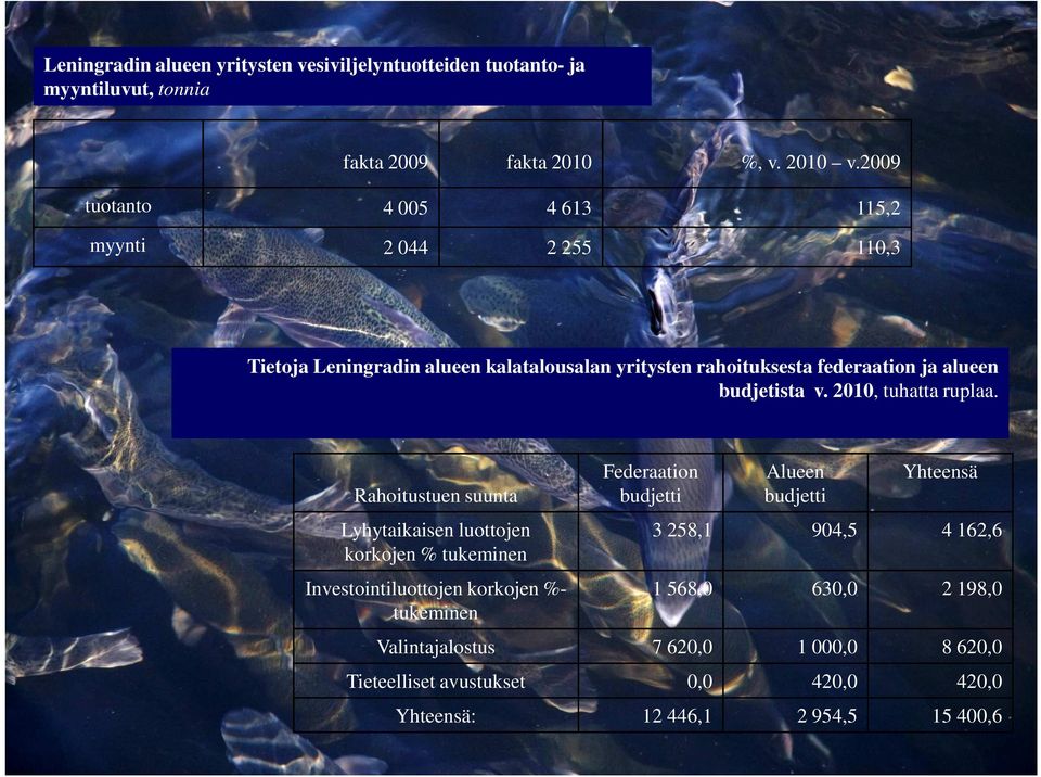 budjetista v. 2010, tuhatta ruplaa.