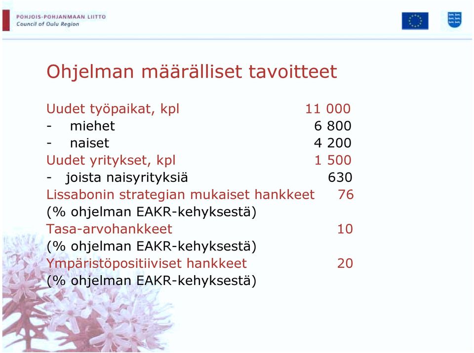 strategian mukaiset hankkeet 76 (% ohjelman EAKR-kehyksestä) Tasa-arvohankkeet 10