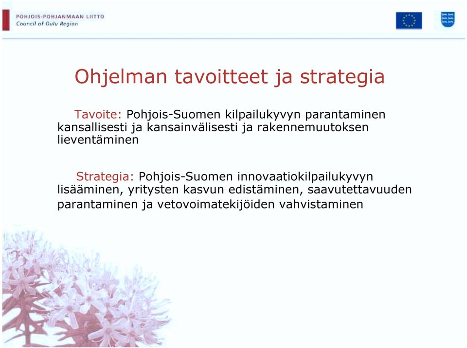 lieventäminen Strategia: Pohjois-Suomen innovaatiokilpailukyvyn lisääminen,