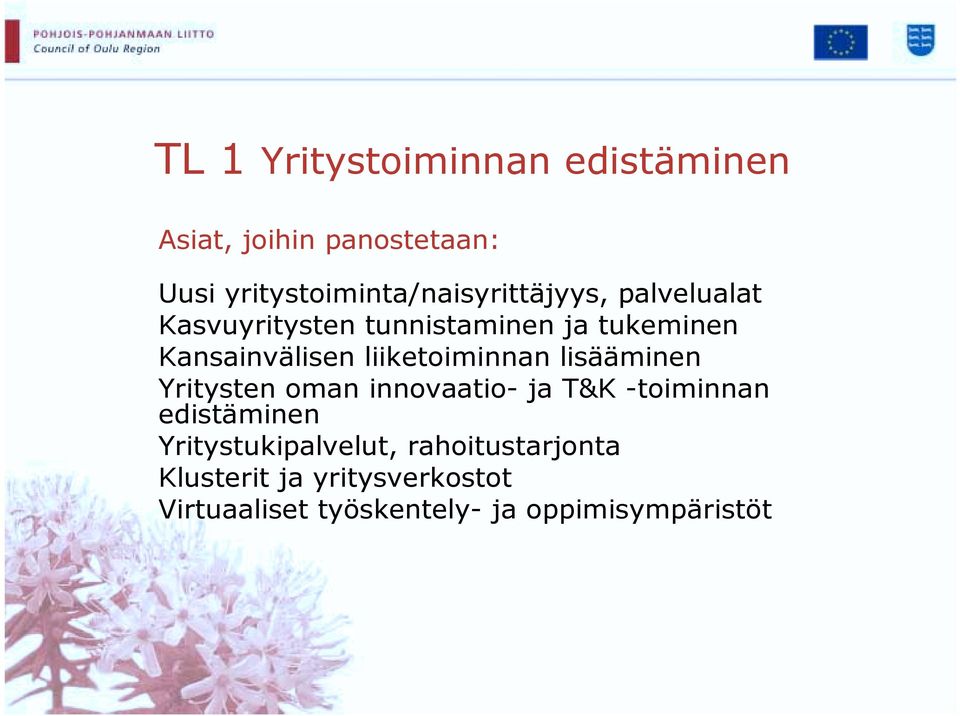 Kansainvälisen liiketoiminnan lisääminen Yritysten oman innovaatio- ja T&K -toiminnan