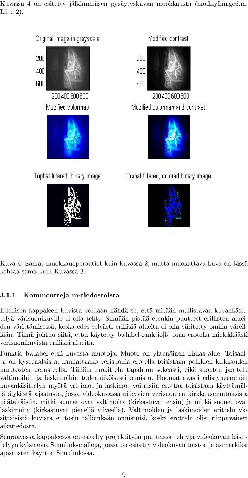 Silmään pistää etenkin puutteet erillisten alueiden värittämisessä, koska edes selvästi erillisiä alueita ei olla väritetty omilla väreillään.