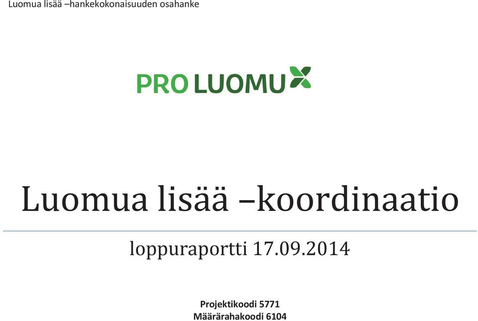 koordinaatio loppuraportti 17.09.