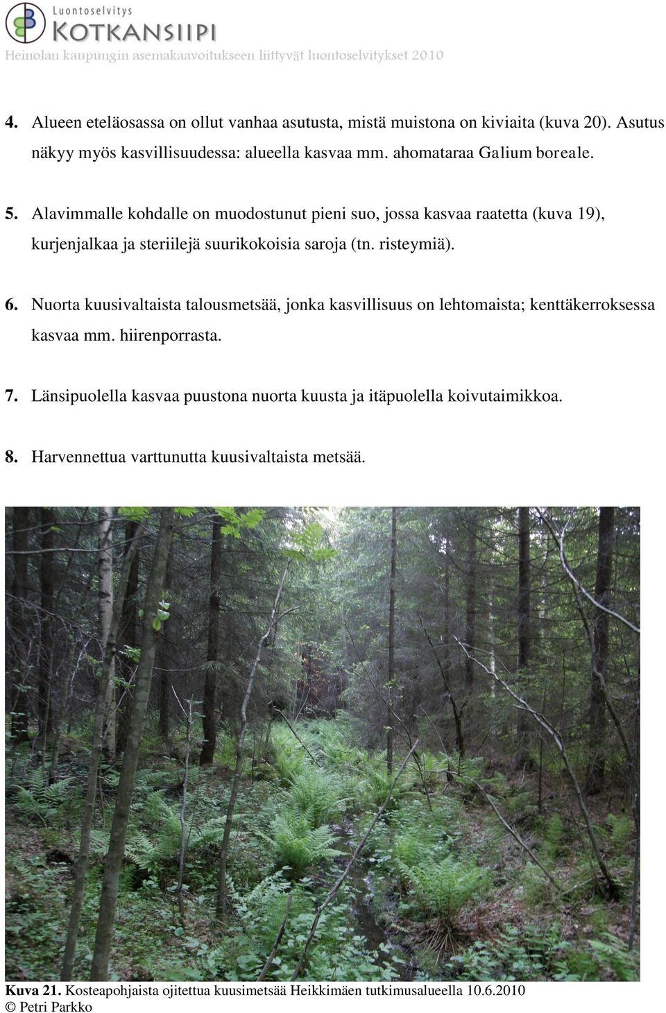 risteymiä). 6. Nuorta kuusivaltaista talousmetsää, jonka kasvillisuus on lehtomaista; kenttäkerroksessa kasvaa mm. hiirenporrasta. 7.